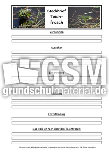 Teichfrosch-Steckbriefvorlage.pdf